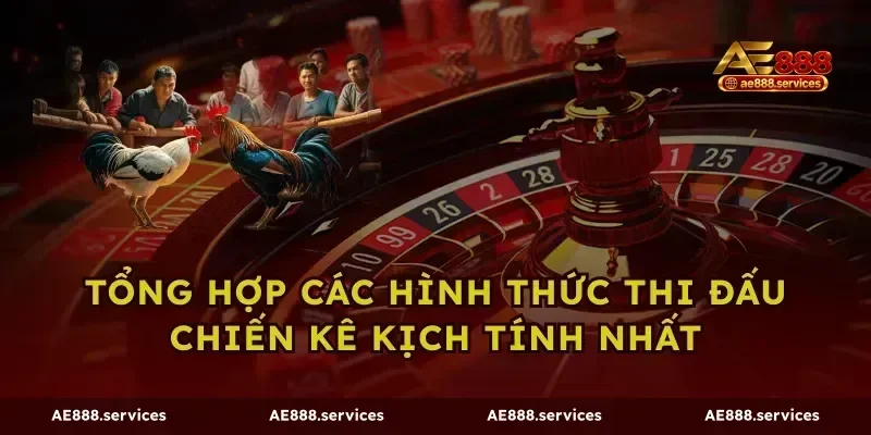 Tổng hợp các hình thức thi đấu chiến kê kịch tính nhất