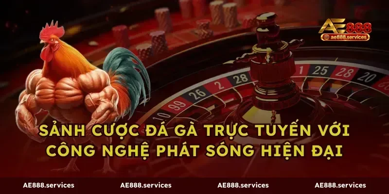 Sảnh cược đá gà trực tuyến với công nghệ phát sóng hiện đại