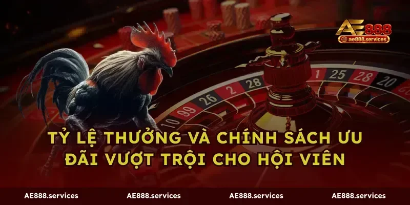 Tỷ lệ thưởng và chính sách ưu đãi vượt trội cho hội viên