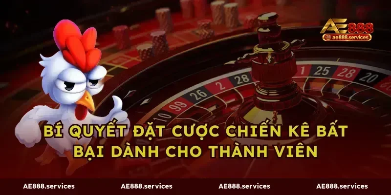 Bí quyết đặt cược chiến kê bất bại dành cho thành viên