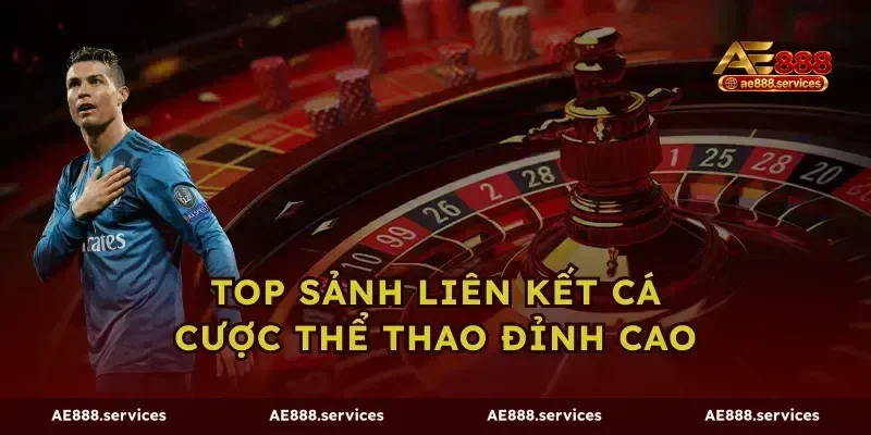 Top sảnh liên kết cá cược thể thao đỉnh cao