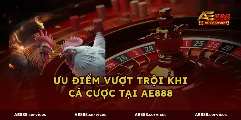 Ưu điểm vượt trội khi cá cược tại AE888