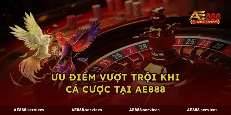 Ưu điểm vượt trội khi cá cược tại AE888