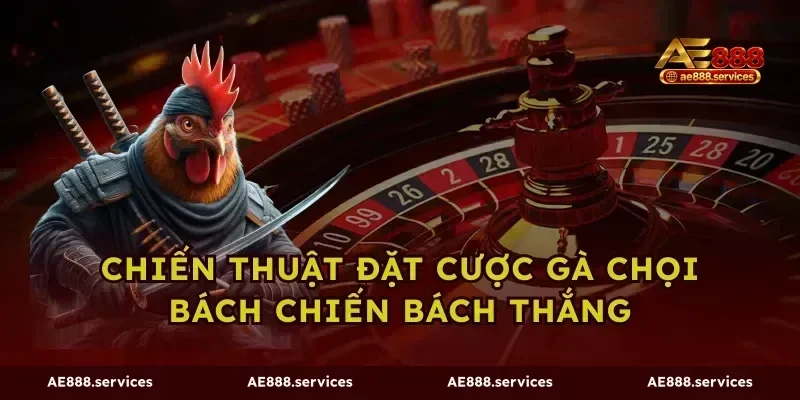 Chiến thuật đặt cược gà chọi bách chiến bách thắng