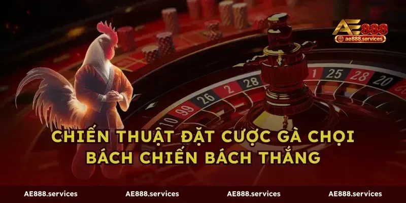Chiến thuật đặt cược gà chọi bách chiến bách thắng