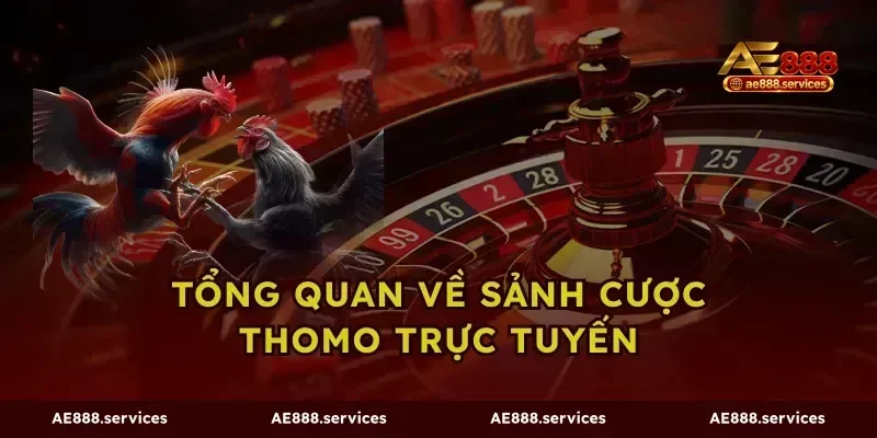 Tổng quan về sảnh cược Thomo trực tuyến
