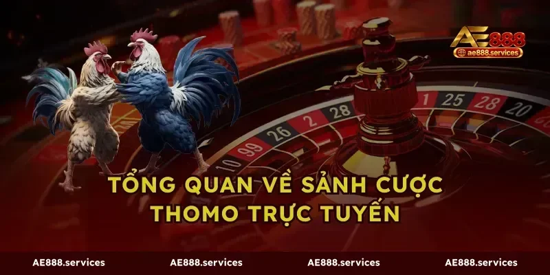 Tổng quan về sảnh cược Thomo trực tuyến