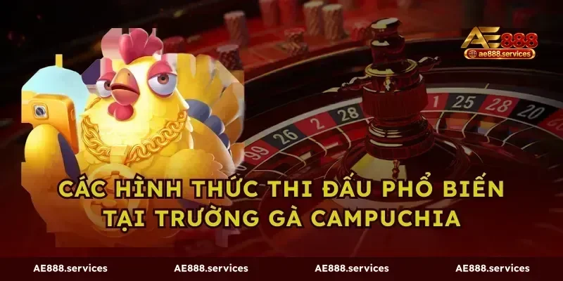 Các hình thức thi đấu phổ biến tại trường gà campuchia