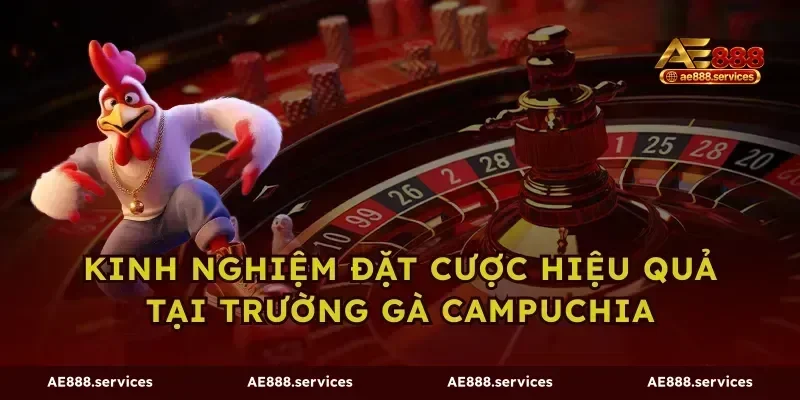 Kinh nghiệm đặt cược hiệu quả tại trường gà campuchia