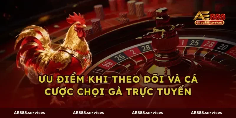 Ưu điểm khi theo dõi và cá cược chọi gà trực tuyến