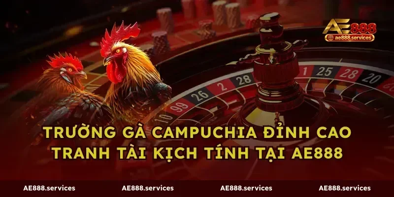 Trường Gà Campuchia Đỉnh Cao Tranh Tài Kịch Tính Tại AE888