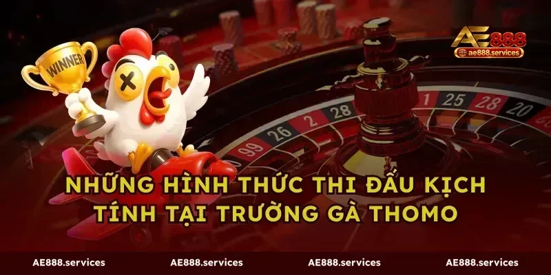 Những hình thức thi đấu kịch tính tại trường gà thomo