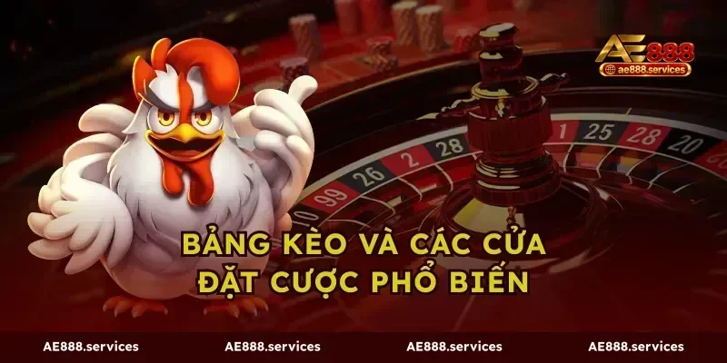 Bảng kèo và các cửa đặt cược phổ biến
