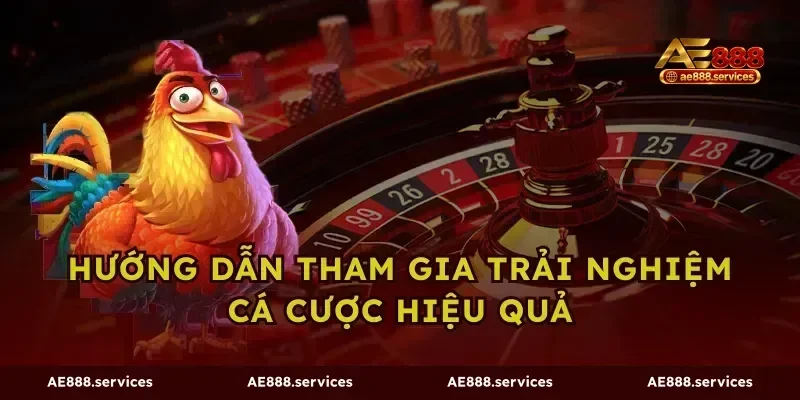 Hướng dẫn tham gia trải nghiệm cá cược hiệu quả